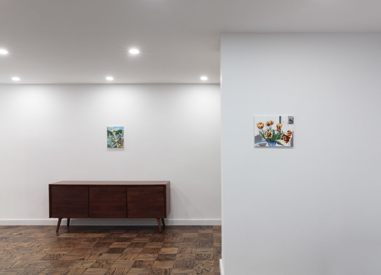 Still Life | Installation view, <i>Still Life</i>, Third Floor, 2019