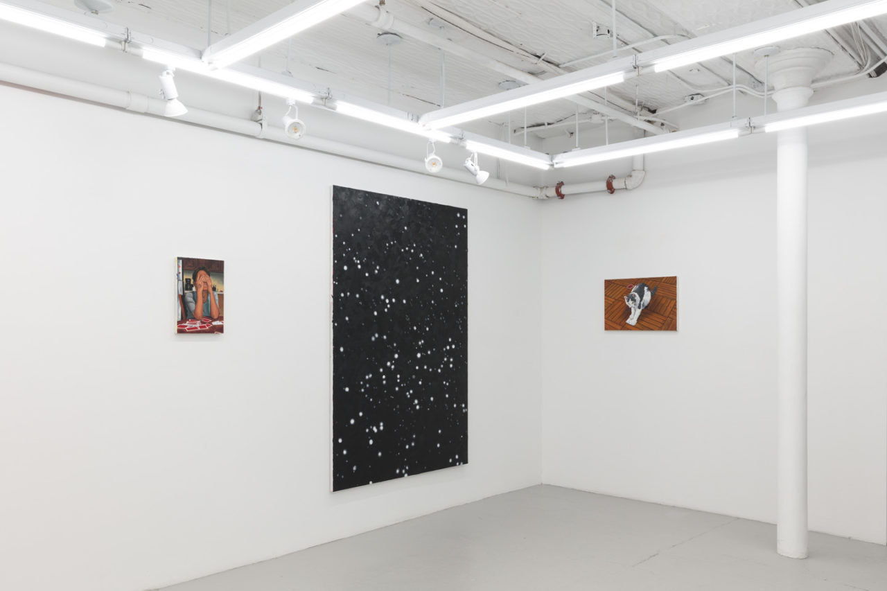 Cards cats people and stars | Installation view, <i>Cards cats people and stars</i>, 2022