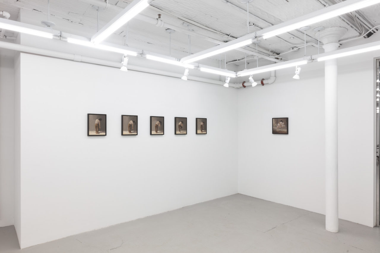 A Shape Called Lily | Installation view, <i>A Shape Called Lily</i>, 2023