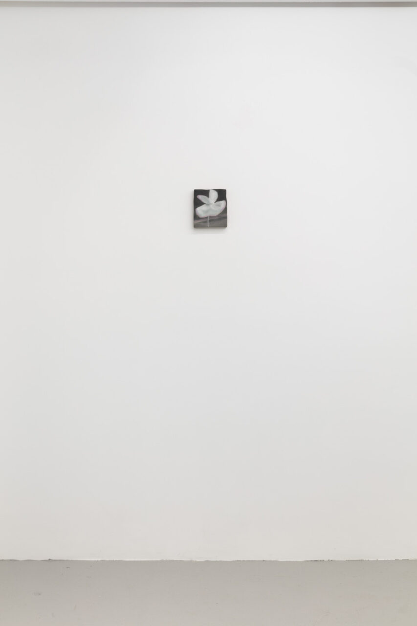 a broad private wink | Installation view, <i>a broad private wink</i>, 2023
