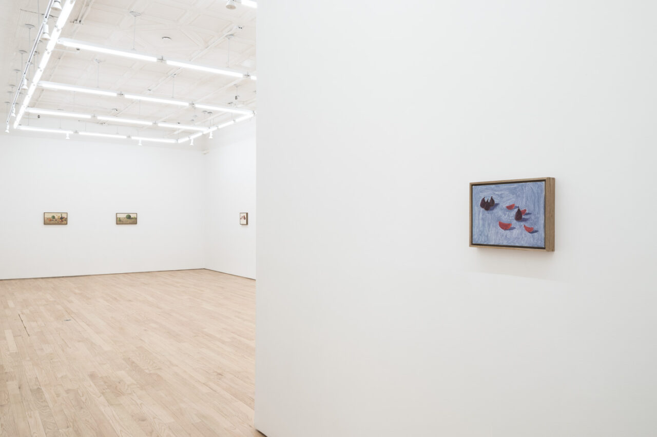 Fruit Theater | Installation view, <i>Fruit Theater</i>, 2024
