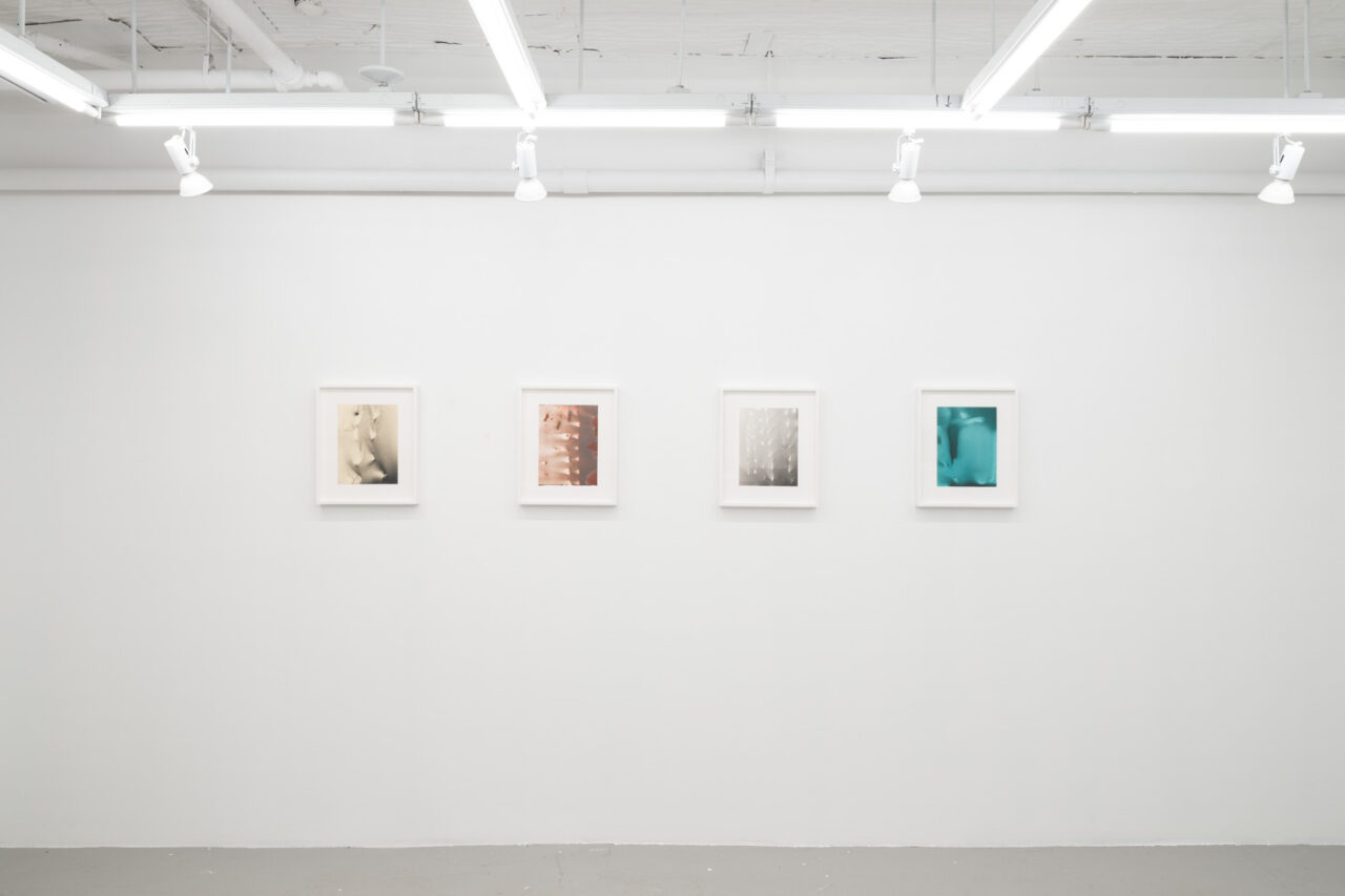 drawings | Installation view, <I>drawings</i>, 2024