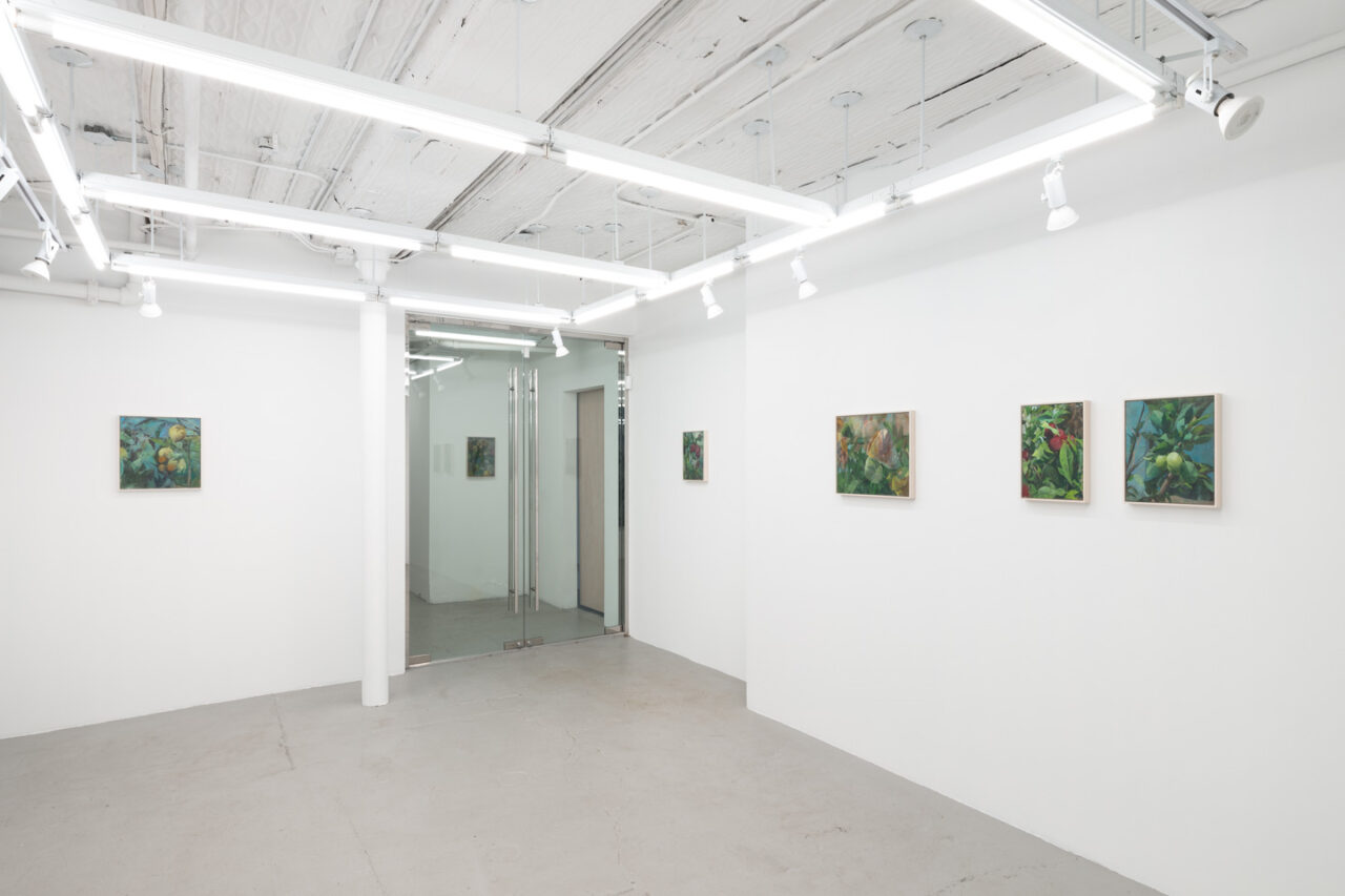 Fragments of Light | Installation view, <I>Fragments of Light</i>, 2024