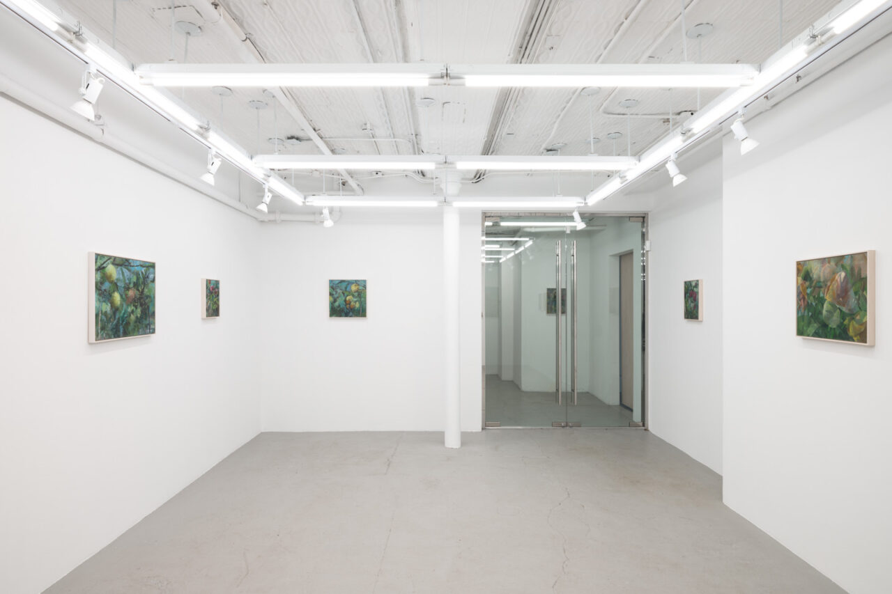 Fragments of Light | Installation view, <I>Fragments of Light</i>, 2024