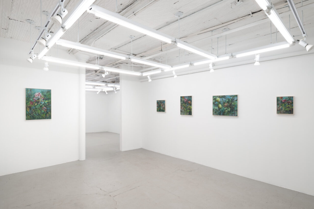 Fragments of Light | Installation view, <I>Fragments of Light</i>, 2024