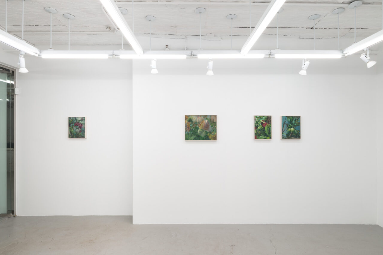 Fragments of Light | Installation view, <I>Fragments of Light</i>, 2024