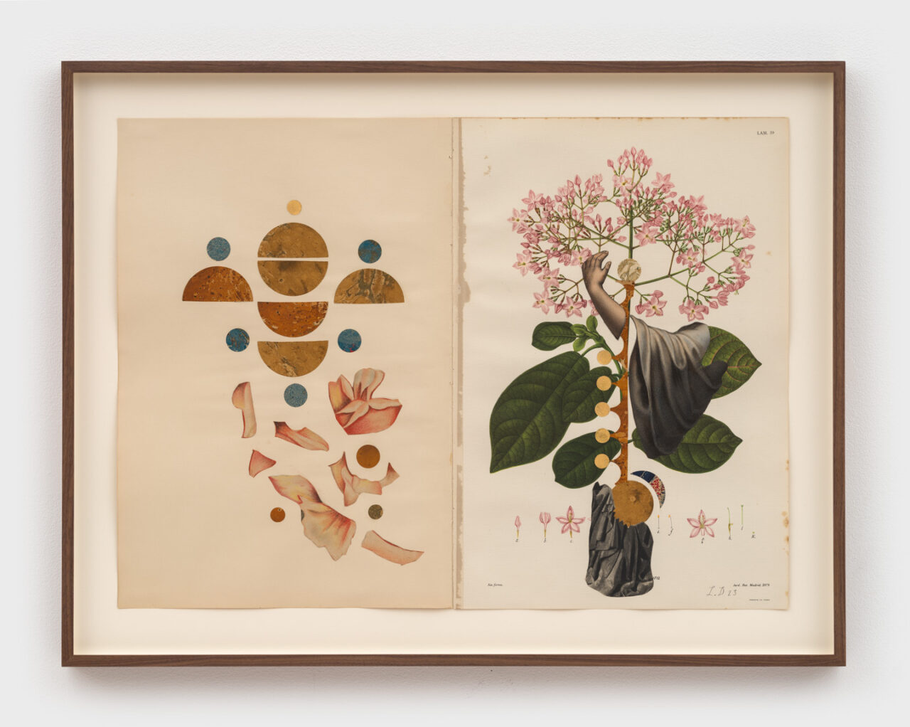 Afterlifes | Louise Despont