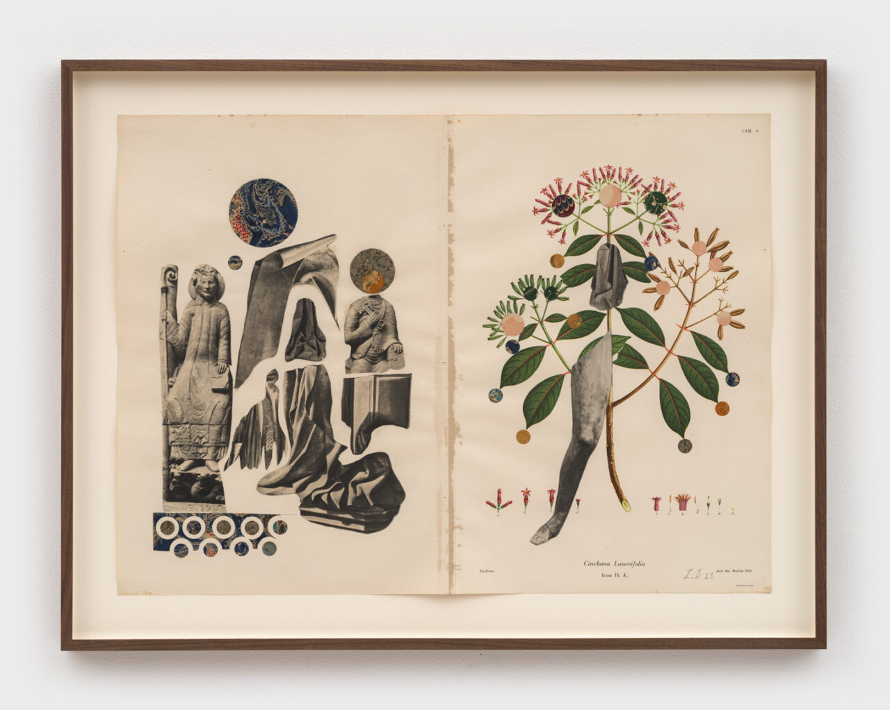 Afterlifes | Louise Despont
