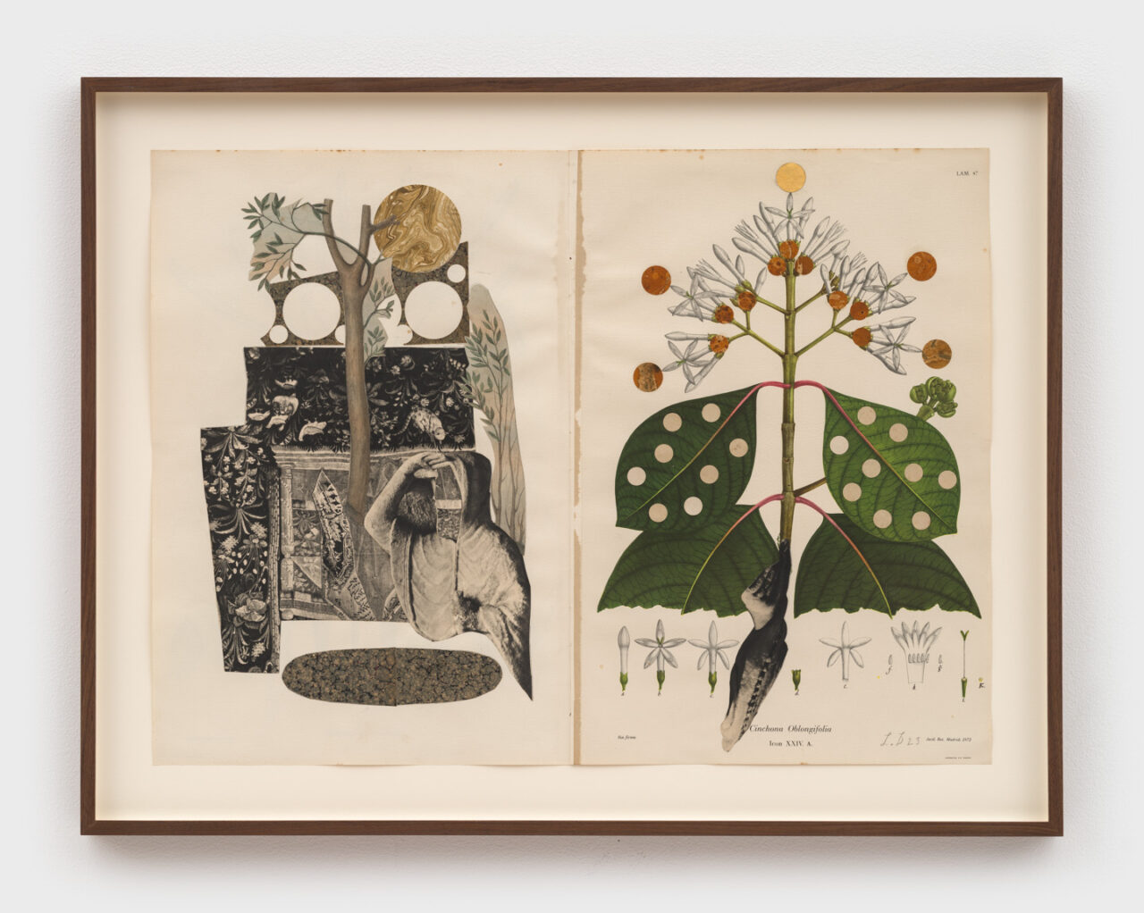 Afterlifes | Louise Despont