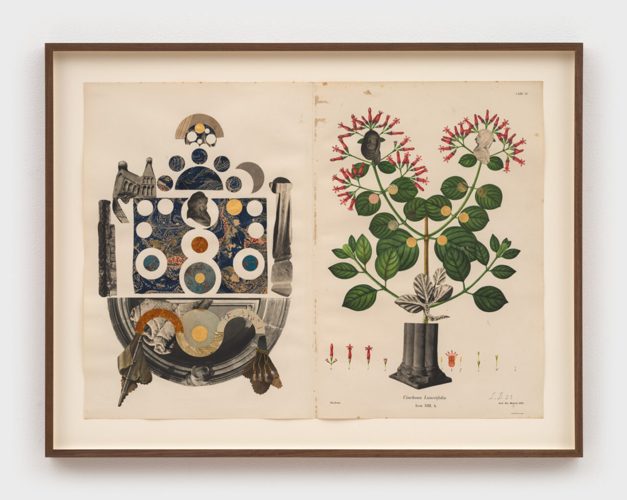 Afterlifes | Louise Despont