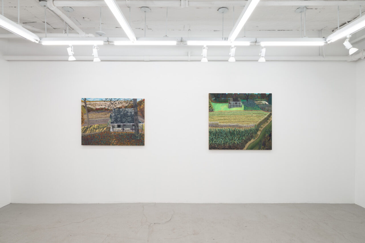 Field and Stream of Consciousness | 