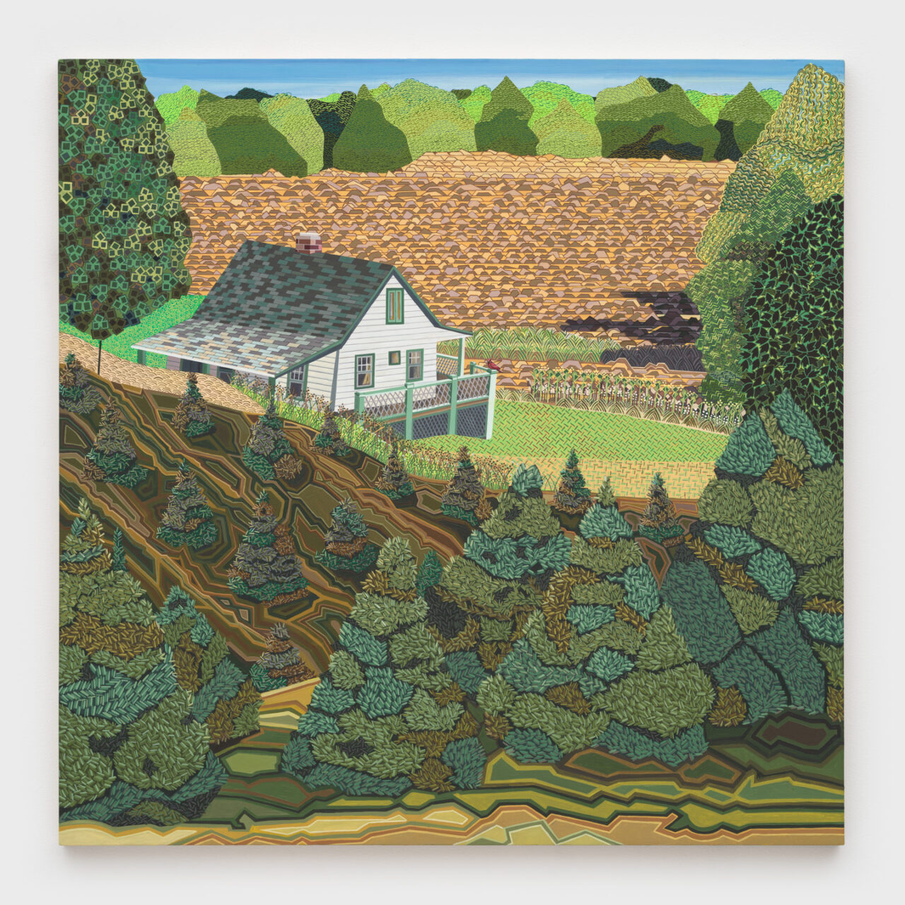 Field and Stream of Consciousness | Ann Toebbe