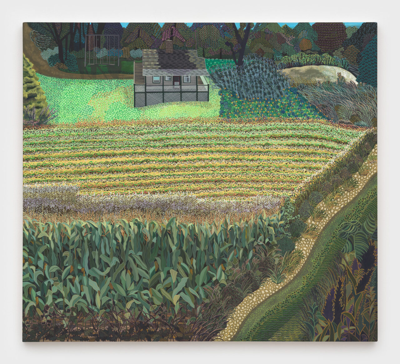 Field and Stream of Consciousness | Ann Toebbe