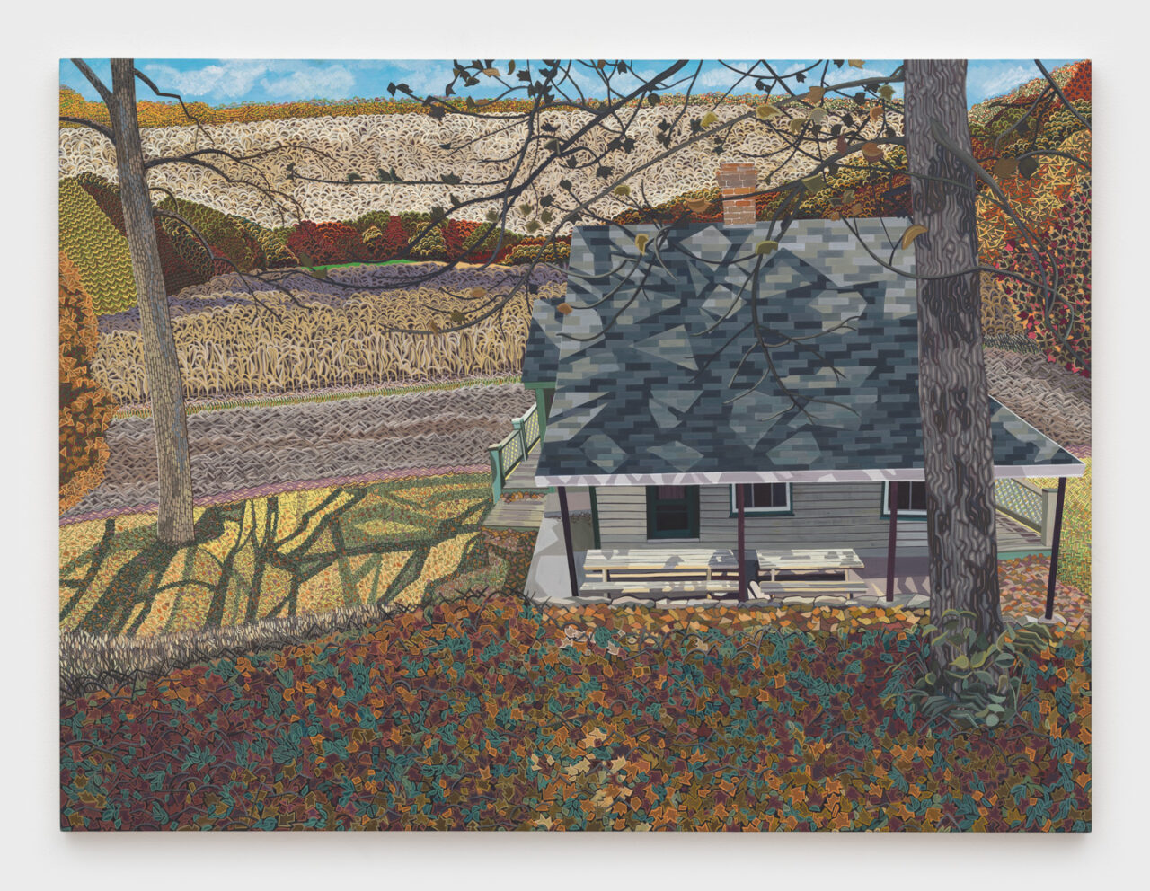 Field and Stream of Consciousness | Ann Toebbe