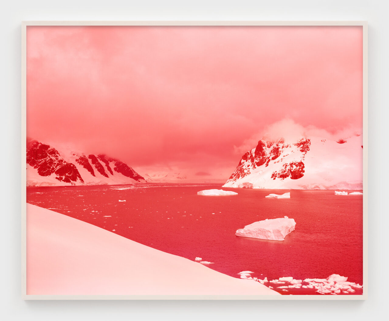 Blue Ablation | David Benjamin Sherry