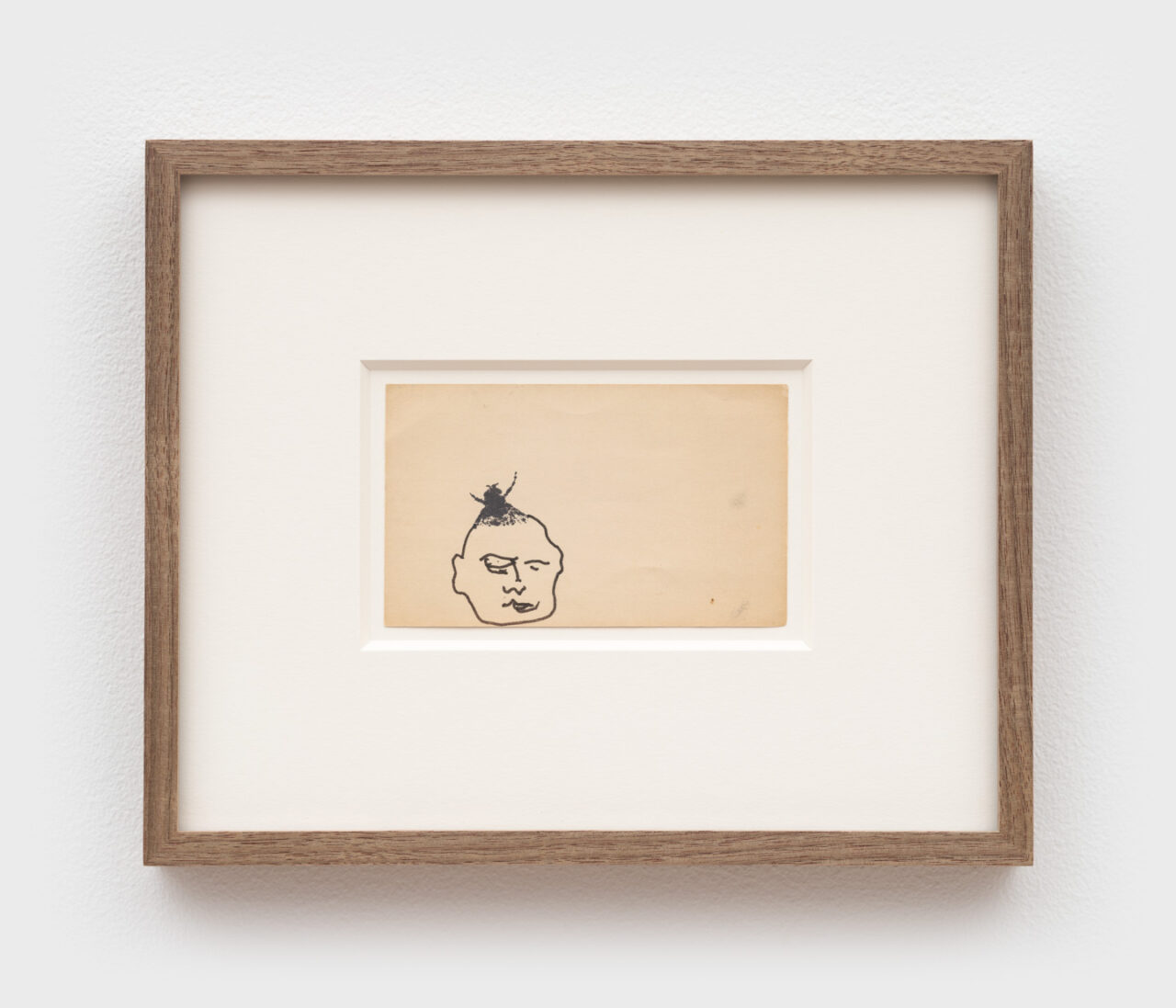 FLIES | Hampton Fancher