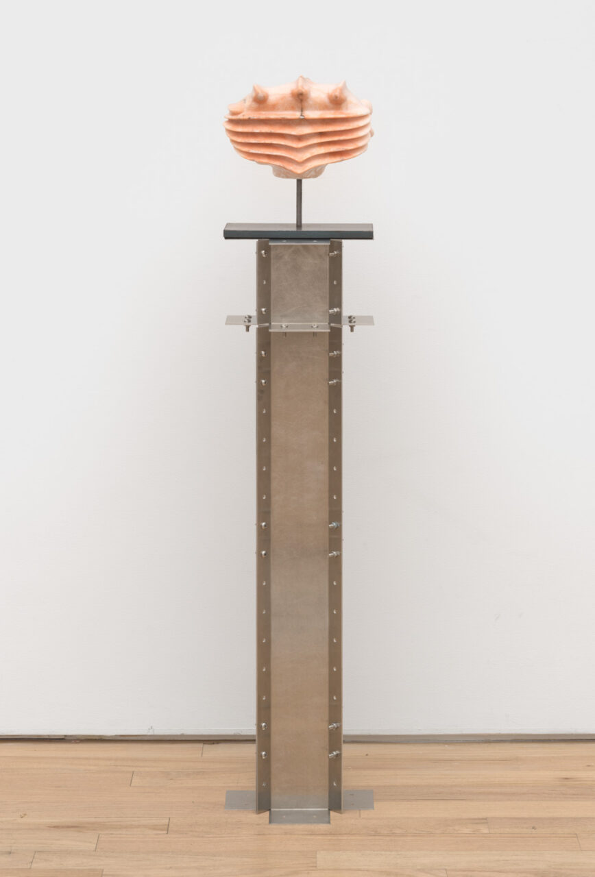 Leech | Kari Cholnoky