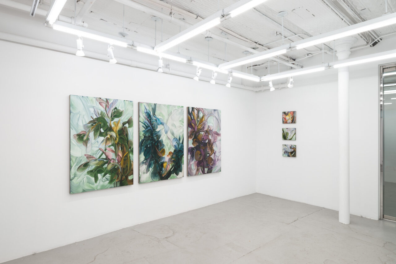 Fooling Linnaeus | Installation view, <i>Fooling Linnaeus</i>, 2026