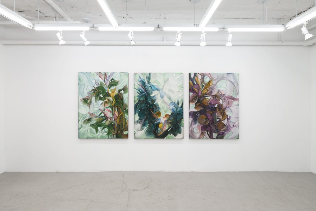 Fooling Linnaeus | Installation view, <i>Fooling Linnaeus</i>, 2026