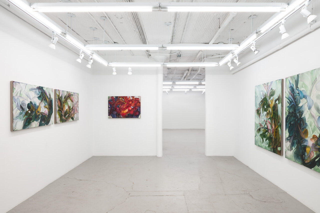 Fooling Linnaeus | Installation view, <i>Fooling Linnaeus</i>, 2026
