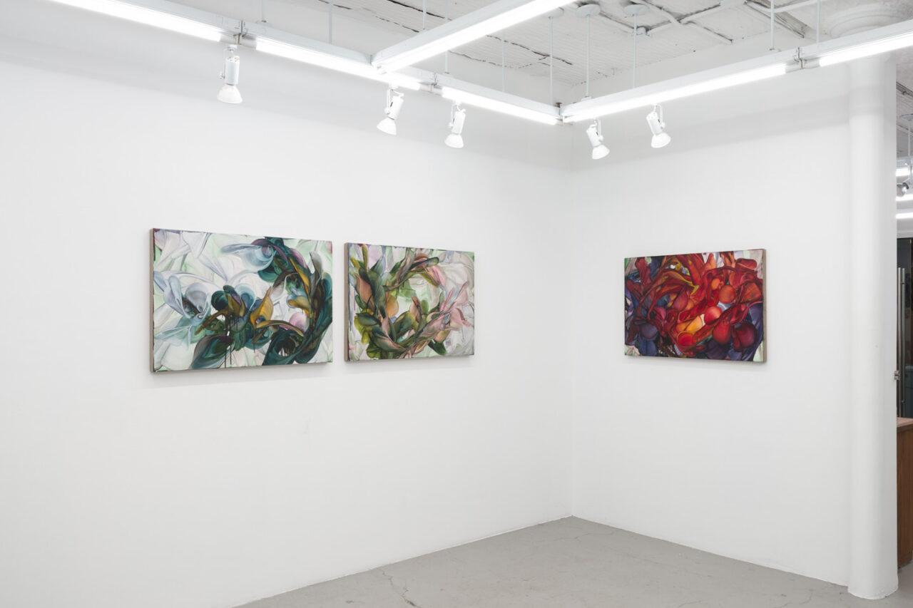 Fooling Linnaeus | Installation view, <i>Fooling Linnaeus</i>, 2026