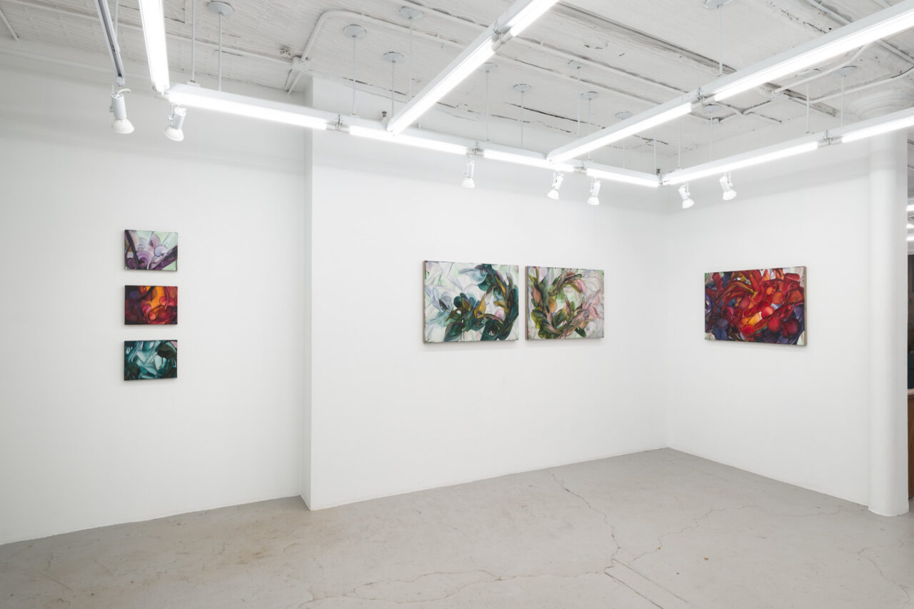 Fooling Linnaeus | Installation view, <i>Fooling Linnaeus</i>, 2026